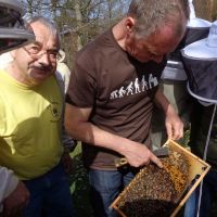 Cours d'apiculture 2019